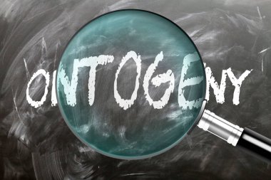 Ontogeny - öğren, çalış ve incele. Ontogeny 'e daha yakından bakıyorum. Tahtaya 