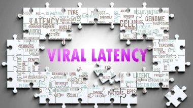 Viral Latency karmaşık bir konu, önemli konularla ilgili. Viral gecikmeyle ilgili en önemli fikir ve ifadelerden oluşan bir bulmaca ve kelime bulutu olarak resmedilmiş.