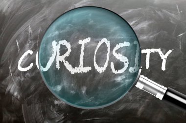 Merak. Öğren, çalış ve incele. Merakı yakından inceliyorum. Tahtaya 