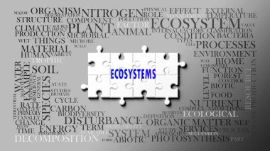Önemli konularla ilgili karmaşık bir konu olarak ekosistemler. Bir bulmaca ve ekosistemle ilgili en önemli fikir ve ifadelerden oluşan bir kelime bulutu olarak resmedilmiş..