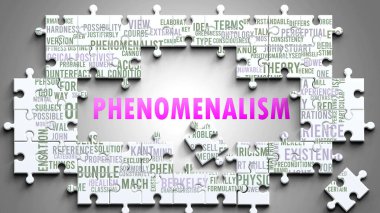 Önemli konularla ilgili, karmaşık bir konu olarak fenomenizm. Bir bulmaca gibi resmedilmiş ve bulut kelimesi fenomenizmle ilgili en önemli fikir ve cümlelerden oluşmuştur..