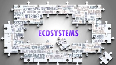 Önemli konularla ilgili karmaşık bir konu olarak ekosistemler. Bir bulmaca ve ekosistemle ilgili en önemli fikir ve ifadelerden oluşan bir kelime bulutu olarak resmedilmiş..