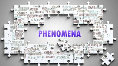 Önemli konularla ilgili karmaşık bir konu olarak fenomena. Bir bulmaca ve fenomenle ilgili en önemli fikir ve ifadelerden oluşan bir kelime bulutu olarak resmedilmiş..