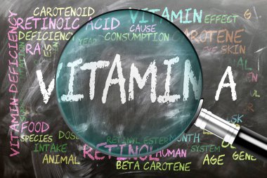 A vitamini yakından inceleniyor, inceleniyor. En önemli konular ve fikirler vitaminle yakından ilişkilidir. Tahtaya yazılmış ve büyüteçle incelenmiş bir vitamin..