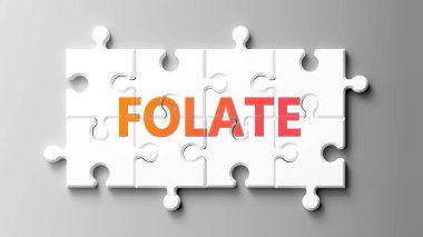 Yapboz gibi şişmiş bir kompleks - bir yapboz parçasının üzerindeki kelime şişkinliği olarak resmedilmiş ve folatın karmaşık olduğunu gösteren ve birbirine uyan işbirliği gerektiren parçalar..