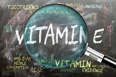 E vitamini yakından inceleniyor, inceleniyor. En önemli konular ve düşünceler vitaminle yakından ilişkilidir. Tahtaya yazılan ve büyüteçle incelenen..