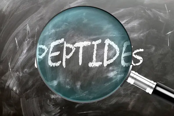 Peptidler- öğren, çalış ve incele. Peptidlere daha yakından bakıyorum. Karatahtaya 