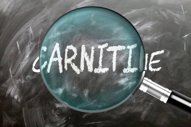 Carnitine, öğren, çalış ve incele. Carnitine daha yakından bakıyorum. Tahtaya 