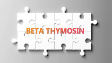 Beta Thymosin kompleksi bulmaca parçaları üzerinde beta timozin kelimesi olarak resmedilmiş ve beta timozinin karmaşık olduğunu ve birbirine uyumlu işbirliği gerektirdiğini göstermektedir..