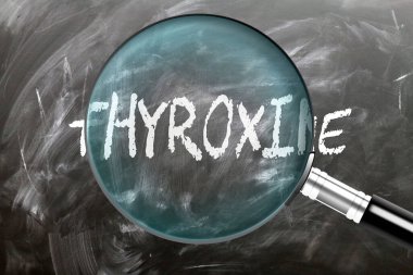 Thyroxine - öğren, çalış ve incele. Tiroksine daha yakından bakıyorum. Tahtaya 'tiroksin' yazan büyüteç.