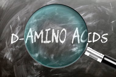 D-Amino Acids - öğren, incele ve incele. D-amino asitlere daha yakından bakıyorum. Tahtaya 'd-amino asitleri' yazan büyüteç.