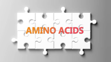 Amino Acids kompleksi yapboz gibi. Yapboz parçalarındaki amino asitler, amino asitlerin karmaşık olduğunu ve birbirine uyumlu işbirliği gerektirdiğini gösteriyor..