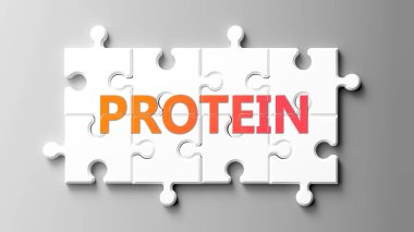 Protein kompleksi yapboz gibidir. Proteinin karmaşık olduğunu göstermek için bulmaca parçalarının üzerinde kelime proteini olarak resmedilir..