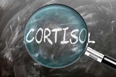 Kortizol - öğren, çalış ve incele. Kortizolü yakından inceliyorum. Tahtaya 