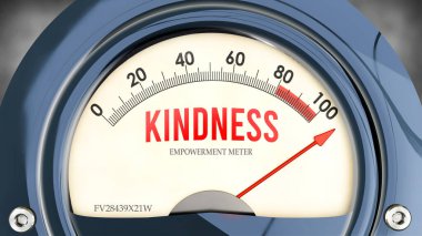 Nezaket ve Güçlendirme Ölçeği tam ölçekte, çok yüksek seviyede nezaket gösteriyor, aşırı yükleniyor, çok fazla. Maksimum değer, standartların ötesinde.. 