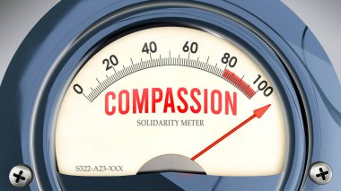 Şefkat ve Dayanışma Ölçeği tam ölçekte, çok yüksek seviyede şefkat gösteriyor, aşırı yükleniyor, çok fazla. Maksimum değer, standartların ötesinde.. 