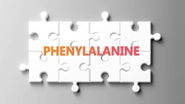 Yapboz gibi fenilalanin kompleksi - fenilalanin 'in karmaşık olduğunu ve birbirine uyan işbirliği gerektirdiğini gösteren yapboz parçaları üzerinde fenilalanin kelimesi olarak resmedilmiş..