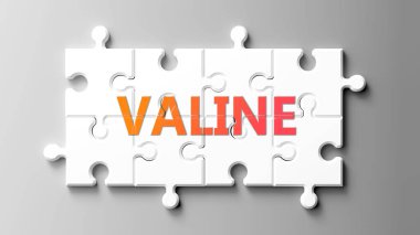 Valine kompleksi bir yapboz gibi. Vadinin karmaşık olduğunu göstermek için bir bulmaca parçasının üstündeki vale kelimesi gibi resmedilmiş ve birbirine uyan işbirliği gerektiren parçalar..