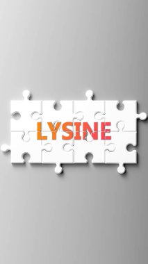 Lysine kompleksi bir yapboz gibi. Yapboz parçalarının üzerindeki lizin kelimesi gibi resmedilmiş. Lysine 'in karmaşık olduğunu ve birbirine uyumlu işbirliği gerektirdiğini gösteriyor..