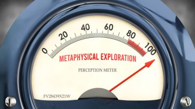 Metafiziksel Keşif ve Algı Ölçeği tam ölçekte, çok yüksek düzeyde metafiziksel keşifler gösteriyor, aşırı yüklenmiş, çok fazla. En yüksek değer.