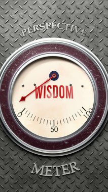 Bilgelik ve perspektif sıfırın altında, son derece düşük bir bilgelik seviyesi gösteriyor, hiçbiri yetersiz. Normalin altında bir değer. Bilgelik eksikliği.