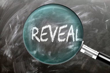 Göster - öğren, çalış ve incele. Reveal 'e daha yakından bakıyorum. Tahtaya 