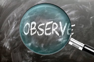 Gözlemle, öğren, çalış ve incele. Gözlemlere daha yakından bakıyorum. Tahtaya 