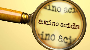 Amino Acids büyüteç altında. Amino asitlerin eksiksiz analizi ve denetimi. Amino asitlere daha yakından bakıyorum. Amino asit kavramının incelenmesi