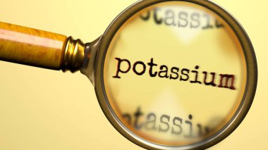 Büyüteç altında potasyum. Potasyum analizi ve incelemesi. Potasyuma daha yakından bakıyorum. Potasyum kavramının incelenmesi