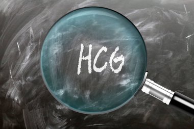 HCG - öğren, çalış ve incele. HCG 'ye daha yakından bakıyorum. Tahtaya 