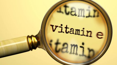 Büyüteç altında E vitamini. E vitamininin eksiksiz analizi ve teftişi E vitamini konseptinin incelenmesi.