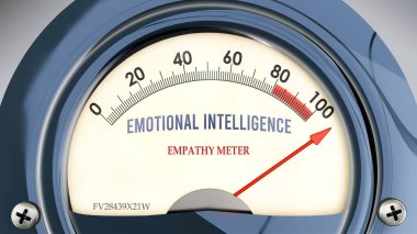 Duygusal Zeka ve Empati Ölçeği tam ölçekte, çok yüksek seviyede duygusal zeka gösteriyor, aşırı yükleniyor, çok fazla. En yüksek değer.