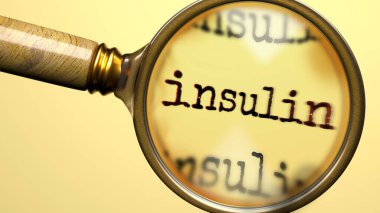Büyüteç altında insülin. İnsülin analizi ve muayenesi. İnsüline daha yakından bakıyorum. İnsülin kavramının incelenmesi