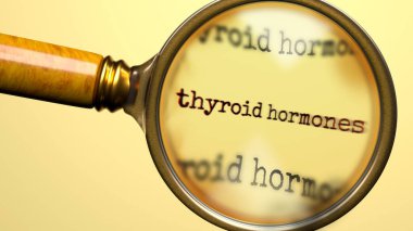 Tiroit hormonu büyüteç altında. Tiroid hormonlarının tam analizi ve teftişi. Tiroid hormonlarına daha yakından bakıyorum. Tiroid hormonu kavramının incelenmesi