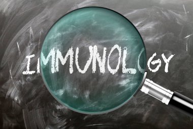 Bağışıklık bilimi - öğren, çalış ve incele. Bağışıklık bilimine daha yakından bakıyorum. Tahtaya 
