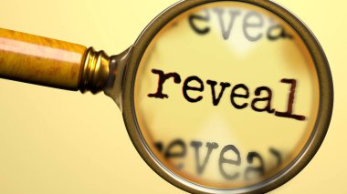 Büyüteç altında ortaya çıkar. Detaylı analiz ve inceleme. Reveal 'e daha yakından bakıyorum. Reveal kavramının incelenmesi