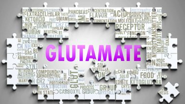 Önemli konularla ilgili karmaşık bir konu olarak glutamate. Bir bulmaca ve kelime bulutu olarak resmedilmiş en önemli fikir ve deyimler glutamatla ilgilidir..