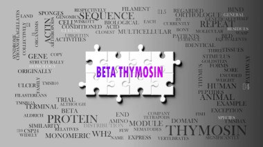 Beta Thymosin karmaşık bir konu, önemli konularla ilgili. Beta timozinle ilgili en önemli fikir ve cümlelerden oluşan bir bulmaca ve kelime bulutu olarak resmedilmiş..