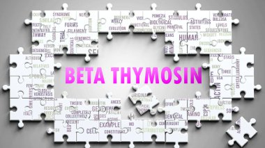 Beta Thymosin karmaşık bir konu, önemli konularla ilgili. Beta timozinle ilgili en önemli fikir ve cümlelerden oluşan bir bulmaca ve kelime bulutu olarak resmedilmiş..
