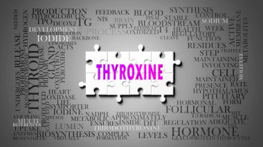 Thyroxine karmaşık bir konu, önemli konularla ilgili. Tiroksinle ilgili en önemli fikir ve cümlelerden oluşan bir bulmaca ve kelime bulutu olarak resmedilmiş.