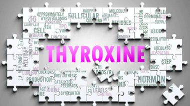 Thyroxine karmaşık bir konu, önemli konularla ilgili. Tiroksinle ilgili en önemli fikir ve cümlelerden oluşan bir bulmaca ve kelime bulutu olarak resmedilmiş.