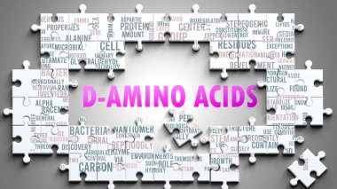 D-Amino Ascids önemli konularla ilgili karmaşık bir konu. D-amino asitlerle ilgili en önemli fikir ve cümlelerden oluşan bir bulmaca ve kelime bulutu olarak resmedilmiş..