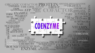 Koenzim karmaşık bir konudur, önemli konularla ilgilidir. Koenzimle ilgili en önemli fikir ve cümlelerden oluşan bir bulmaca ve kelime bulutu olarak resmedilmiş..