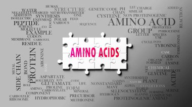 Amino Acids karmaşık bir konu, önemli konularla ilgili. Bir bulmaca ve amino asitlerle ilgili en önemli fikir ve cümlelerden oluşan bir kelime bulutu olarak resmedilmiş..