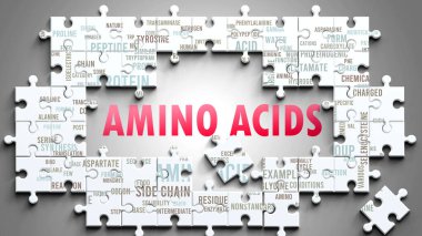 Amino Acids karmaşık bir konu, önemli konularla ilgili. Bir bulmaca ve amino asitlerle ilgili en önemli fikir ve cümlelerden oluşan bir kelime bulutu olarak resmedilmiş..