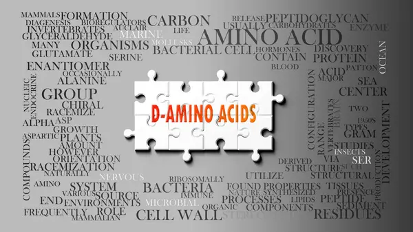 D-Amino Ascids önemli konularla ilgili karmaşık bir konu. D-amino asitlerle ilgili en önemli fikir ve cümlelerden oluşan bir bulmaca ve kelime bulutu olarak resmedilmiş..