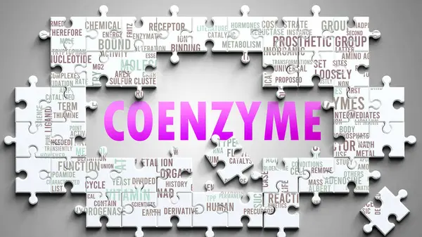 Koenzim karmaşık bir konudur, önemli konularla ilgilidir. Koenzimle ilgili en önemli fikir ve cümlelerden oluşan bir bulmaca ve kelime bulutu olarak resmedilmiş..