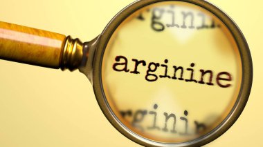 Arginine inceleme, inceleme ve soruşturma altında. Yakından bak. Arjinin anlamını araştırmanın, araştırmanın ve analiz etmenin sembolü.