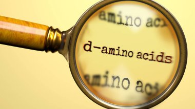 D-Amino Acids inceleniyor, inceleniyor ve soruşturuluyor. Yakından bak. D-amino asitlerin anlamını araştırmanın, araştırmanın ve analiz etmenin sembolü.