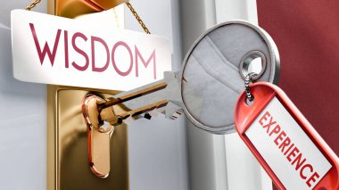 Tecrübeyle aydınlanan bilgelik